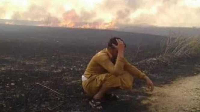 VIVA Militer: Warga Muslim Suriah menangis ladang gandumnya dibakar Amerika.