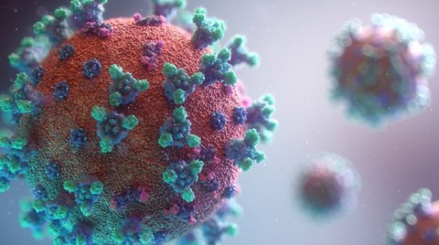 Kepala Lembaga Biologi Molekuler Eijkman Sebut Virus Corona Bisa Bertahan di Udara Hingga 8 Jam