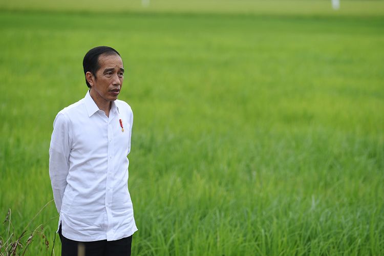 Sindir Jokowi Soal Pemulihan Ekonomi PKS: Optimis Boleh, Tapi Fakta Di Lapangan Berat