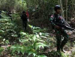Ngeri, Pasukan Braja Sakti TNI Terobos Hutan Markas OPM